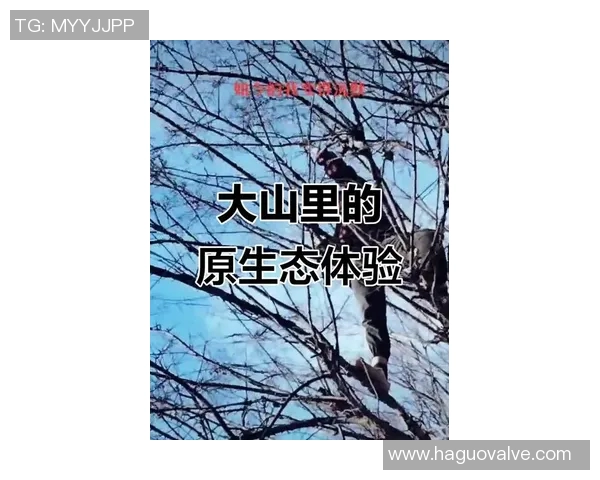 姚明走进山里探寻自然之美与人生哲理的奇妙旅程