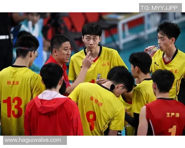 武汉排球队创新高排球配合排名再攀新高峰展现团队实力与默契